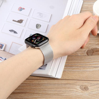 For Apple Watch 42mm / 41mm / 40mm / 38mm Double-section Magnetic Milanese Titanium Watch Band(Titanium Color) by bashfashion