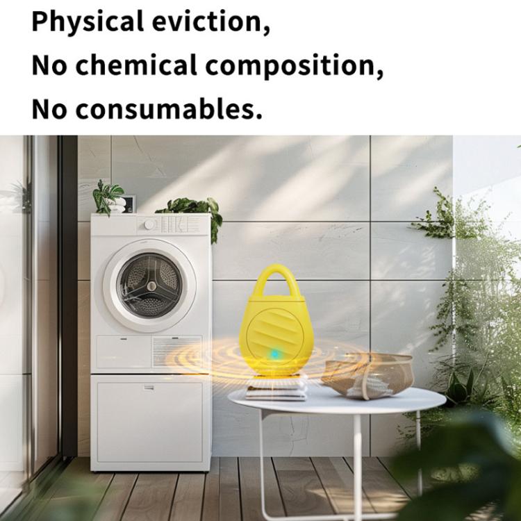 EDA0080869_B5.jpg@10b84a6accb2d5215cd5fdb2e9b24345