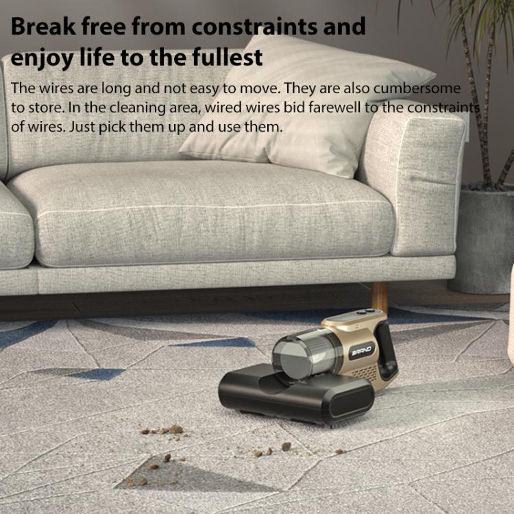 EDA0083039_B4.jpg@8c3c70044903452d35621ba2d8c8d968