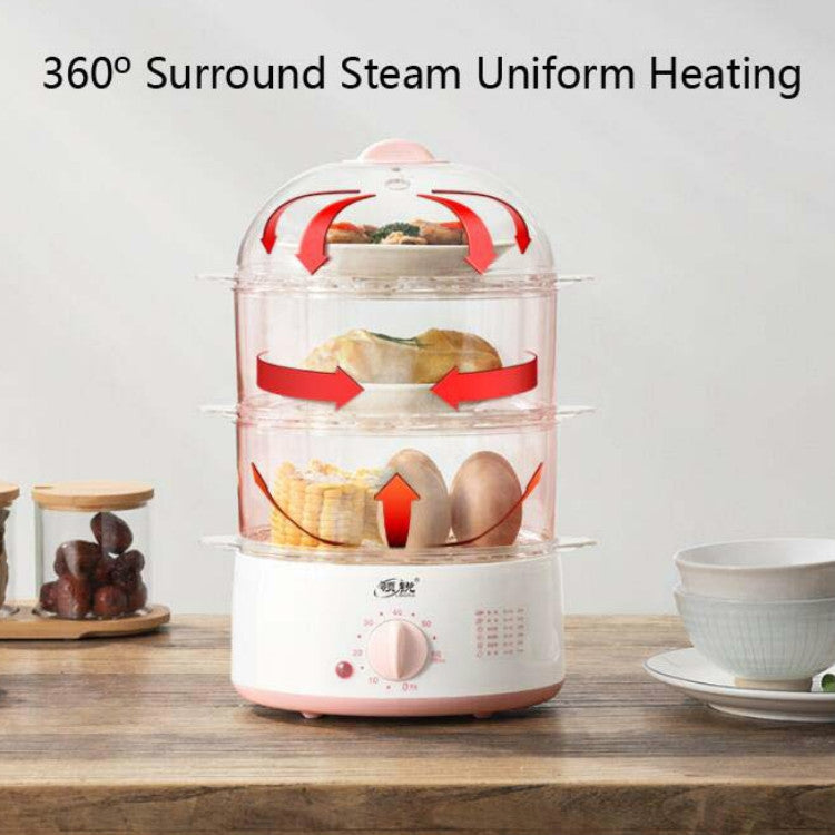 LINGRUI Timer Mini Multi-Function Egg Cooker Automatic Power Off Home Breakfast Machine, CN Plug, Specification:Double Layers(Grey) by bashfashion