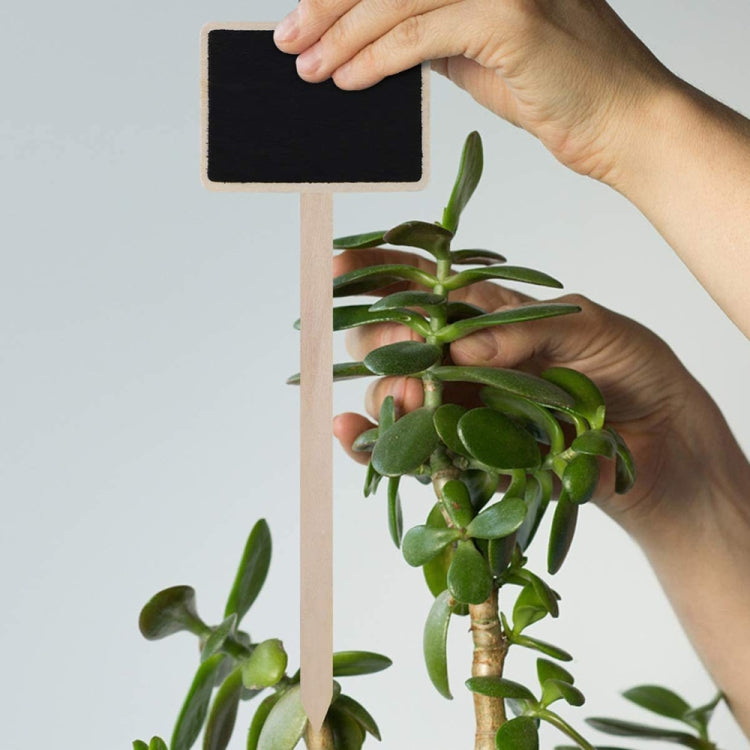 ZX507 10pcs Wooden Plug-in DIY Message Board Mini Plant Name Tags Desktop Display Board(18cm Length) by bashfashion