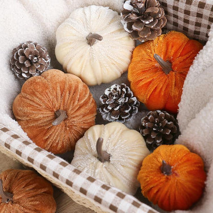 TBD06063679_B4.jpg@e00612a10b661385c1822d36cd79f362